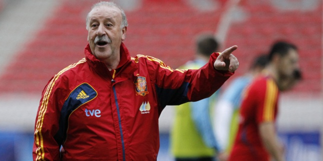 Del Bosque Mundur Dari Timnas Spanyol