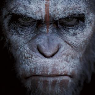 Dawn of the Planet of the Apes: Upaya Bertahan Hidup antara Sekelompok Manusia dan Kera thumbnail