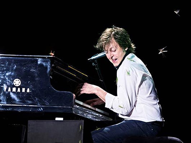 Lagi Asik Konser, Paul McCartney 'Diserang' Belalang!