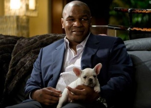 Mike Tyson, Lindsay Lohan, Ikutan Ngeramein 'Scary Movie5'? 