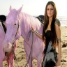 Pink Sindir Selena Gomez Atas Aniaya Hewan