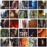 The Tree of Life win Palme d'Or in Cannes thumbnail